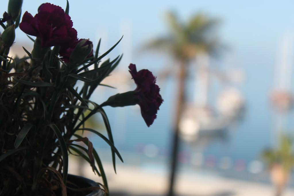 Bumerang Suites Bodrum Exterior foto